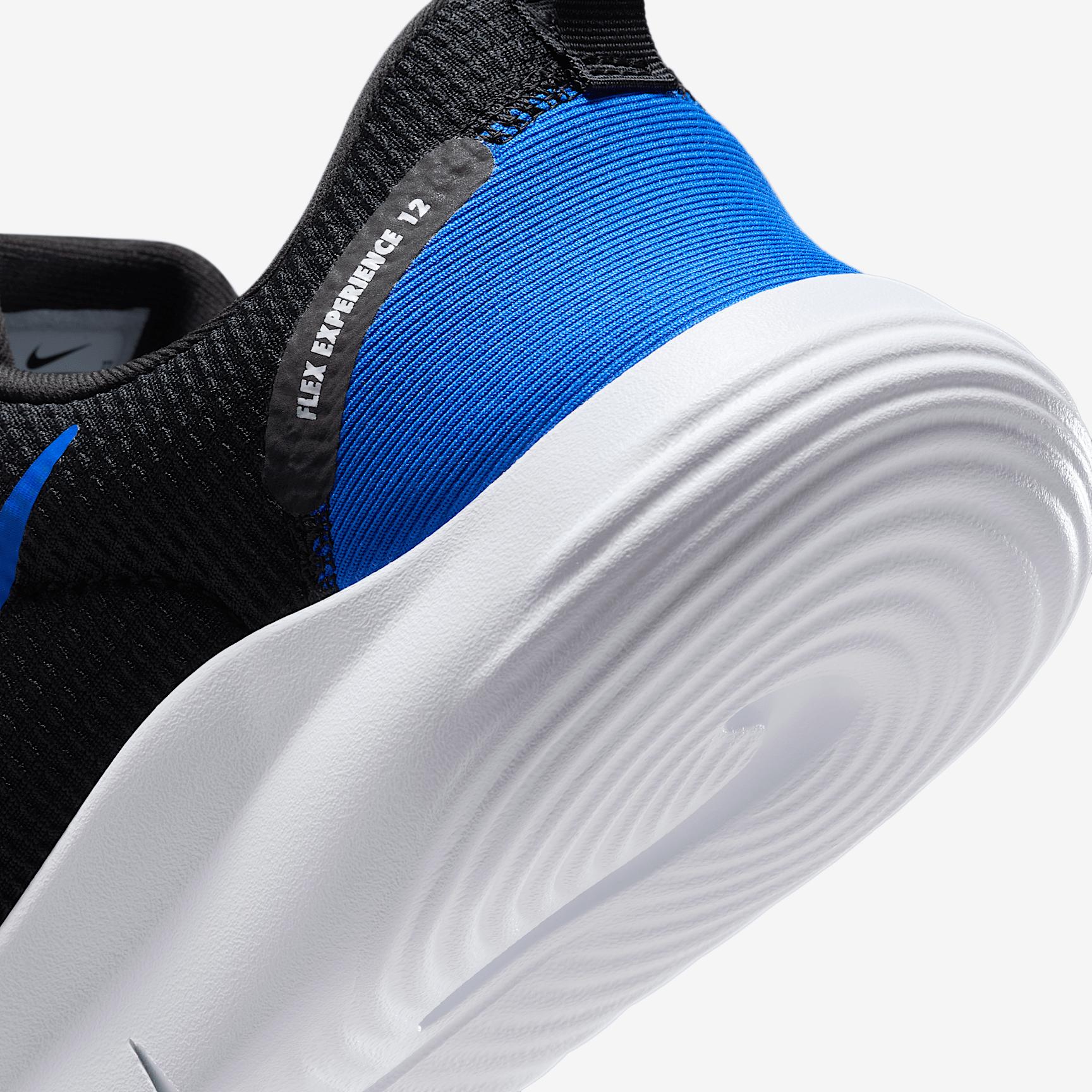 Nike Mens Flex Experience Run 12 Road Running Shoes | DV0740-103 Product Image