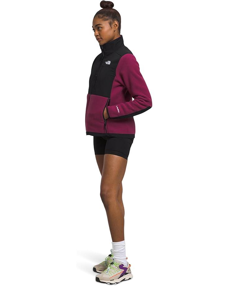 Retro Denali Hoodie Product Image