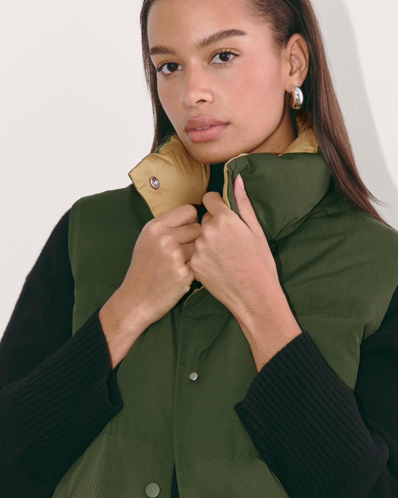 Womens Puffer Vest Coat by Everlane Product Image