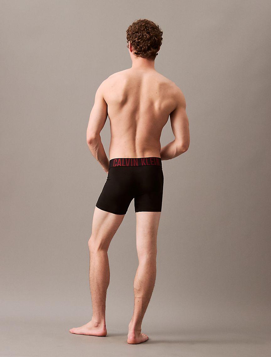 Intense Power Micro 3-Pack Boxer Brief Product Image