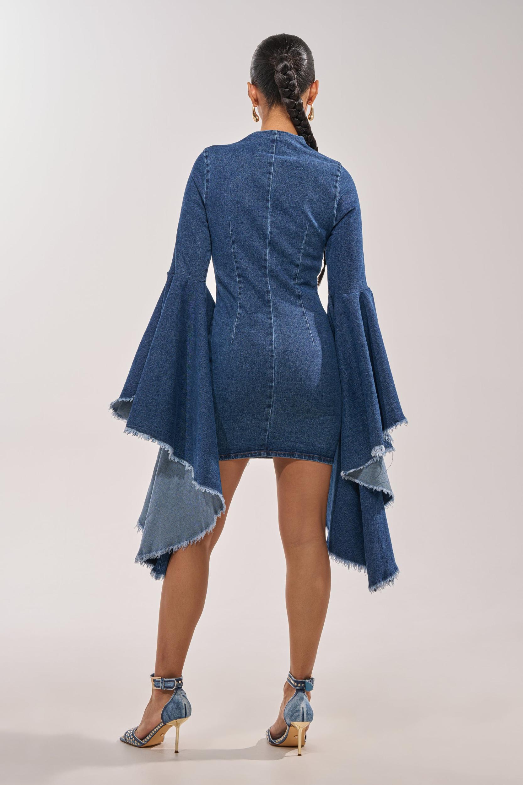 WALK IN THE PARK DENIM MINI DRESS Product Image