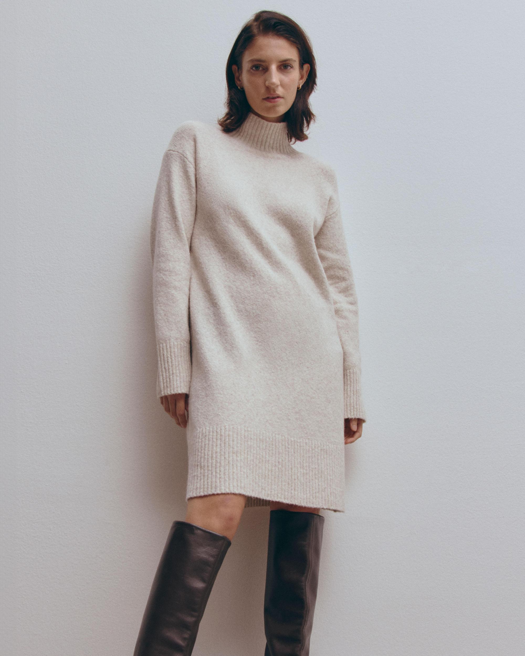 Womens Sweater Dress in Plush Cotton by Everlane Product Image