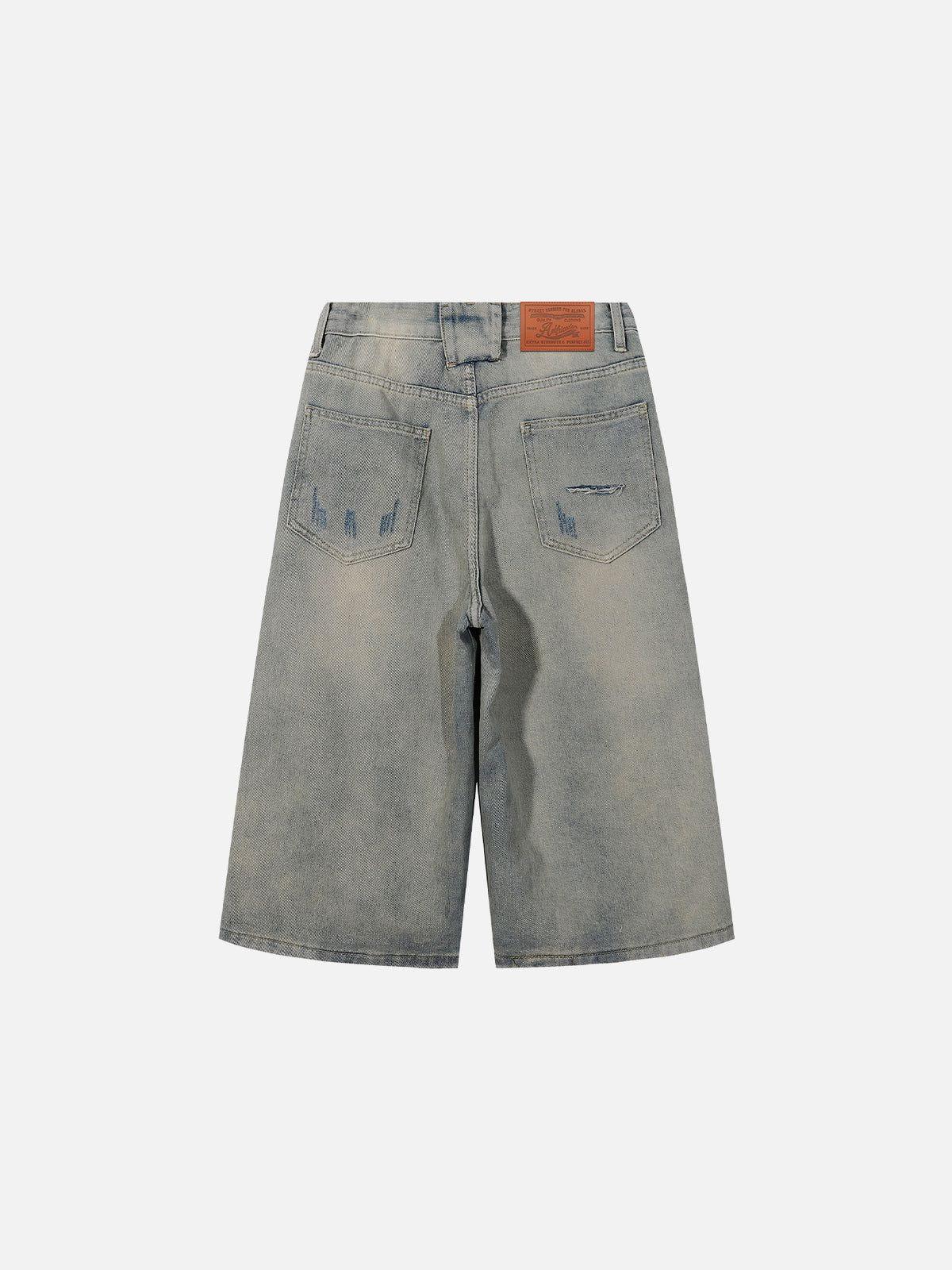 Aelfric Eden Washed Distressed Longline Jorts Product Image
