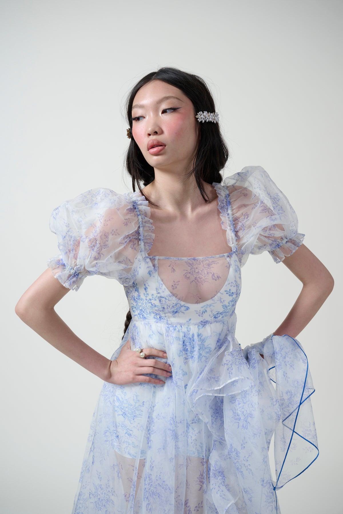 The Bed & Breakfast Sheer Delight Ruffle Gown Product Image