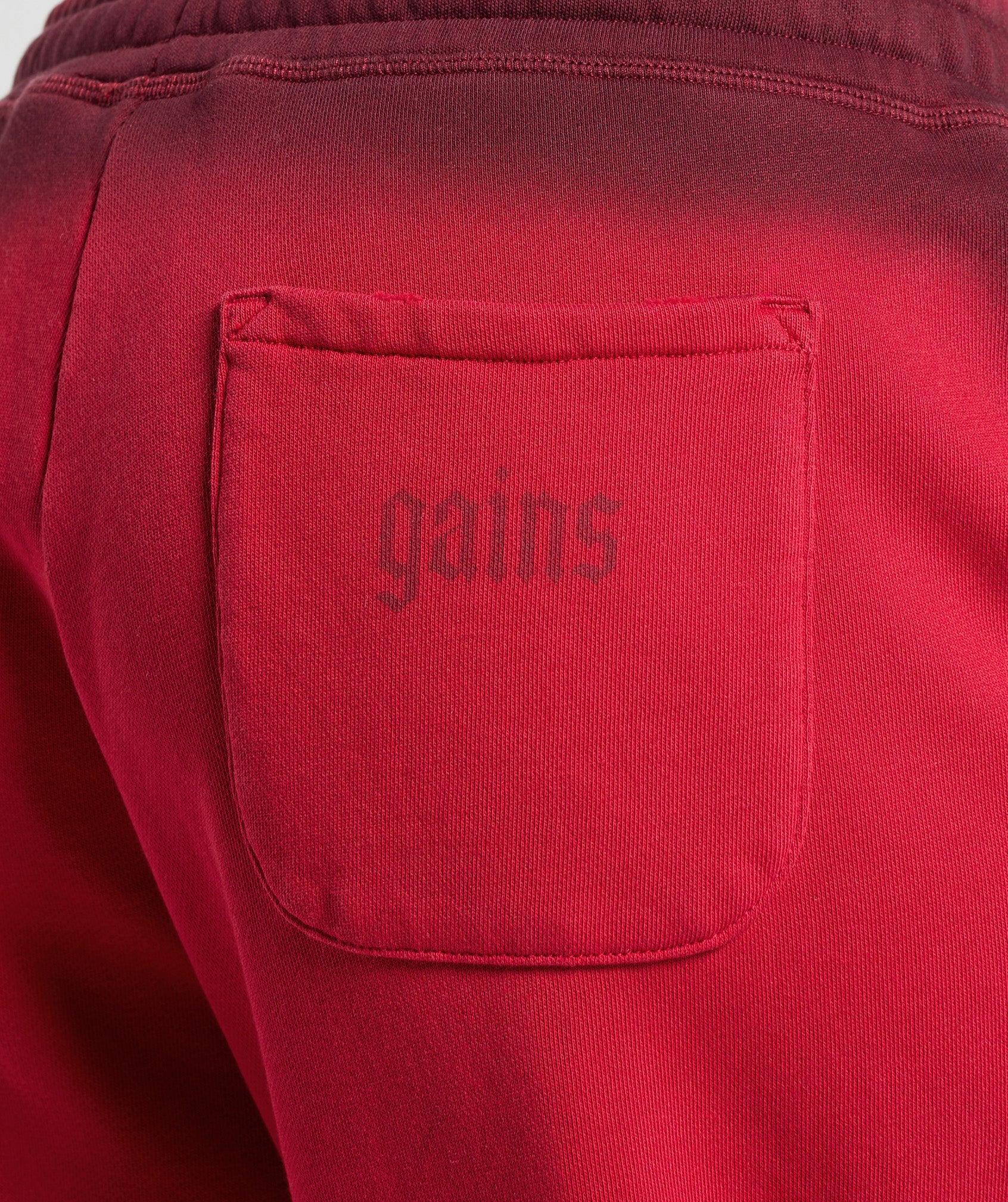 Gains Washed Loopback Joggers Product Image