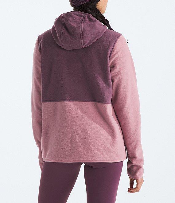 The North Face Glacier Long Sleeve Pullover Hoodie Product Image