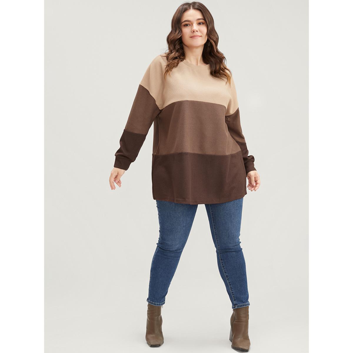 Plus Size Colorblock Contrast Round Neck Drop Shoulder Sweatshirt Women Tan Casual Patchwork Round Neck Dailywear Sweatshirts BloomChic 18-20/2X Product Image