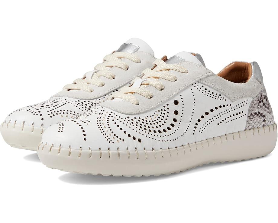 Picasa Product Image