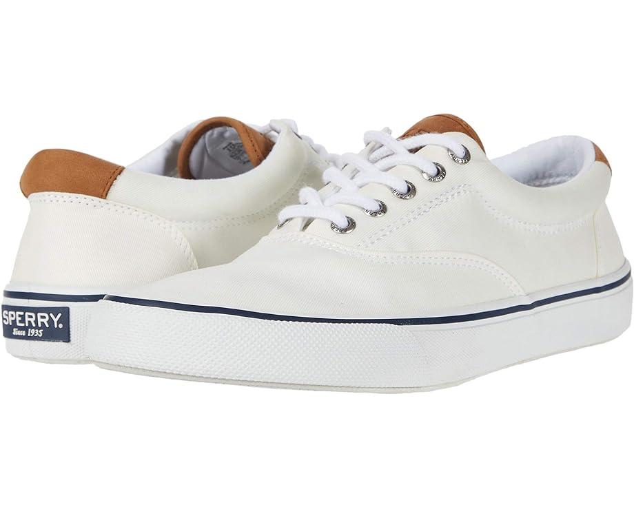 CVO Canvas Product Image