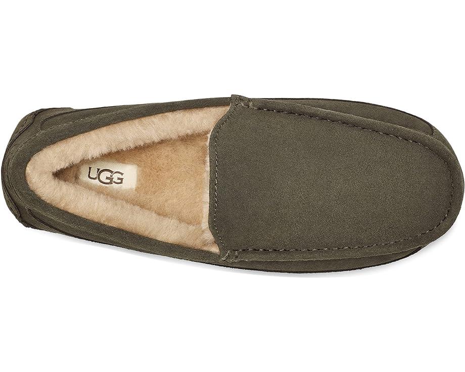 Men's UGG Ascot Product Image
