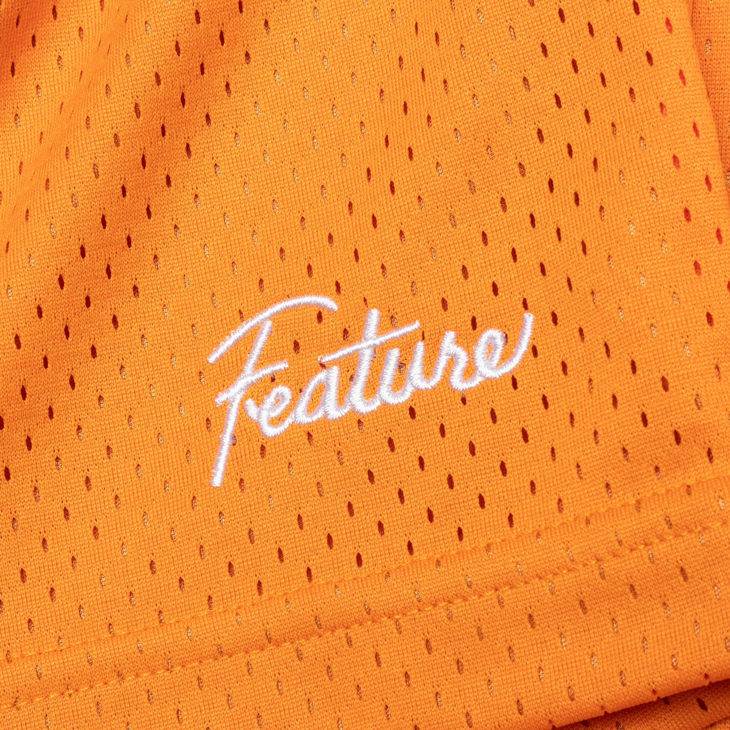 West Mesh Shorts - Crimson Male Product Image