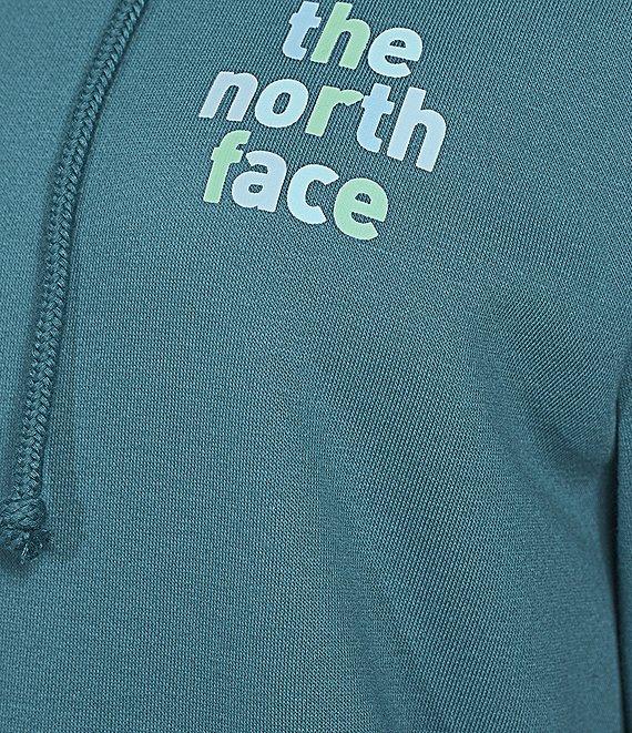 The North Face Evolution Proud Graphic Pullover Hoodie Product Image