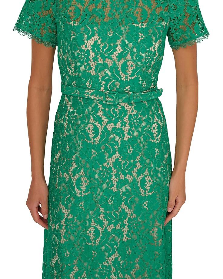 Tie Front Flutter Midi Dress Product Image