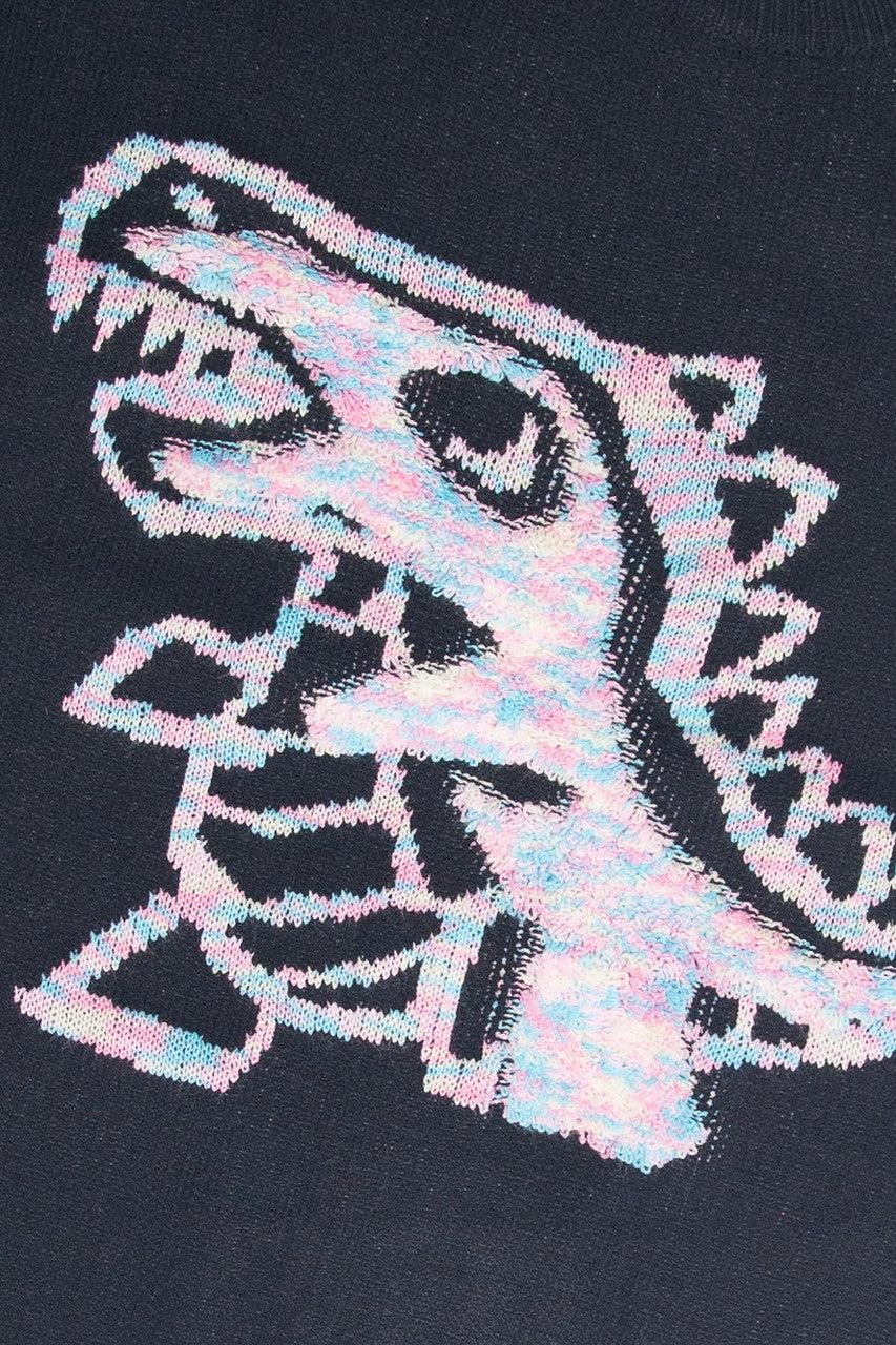 Dinosaur Sweater Product Image