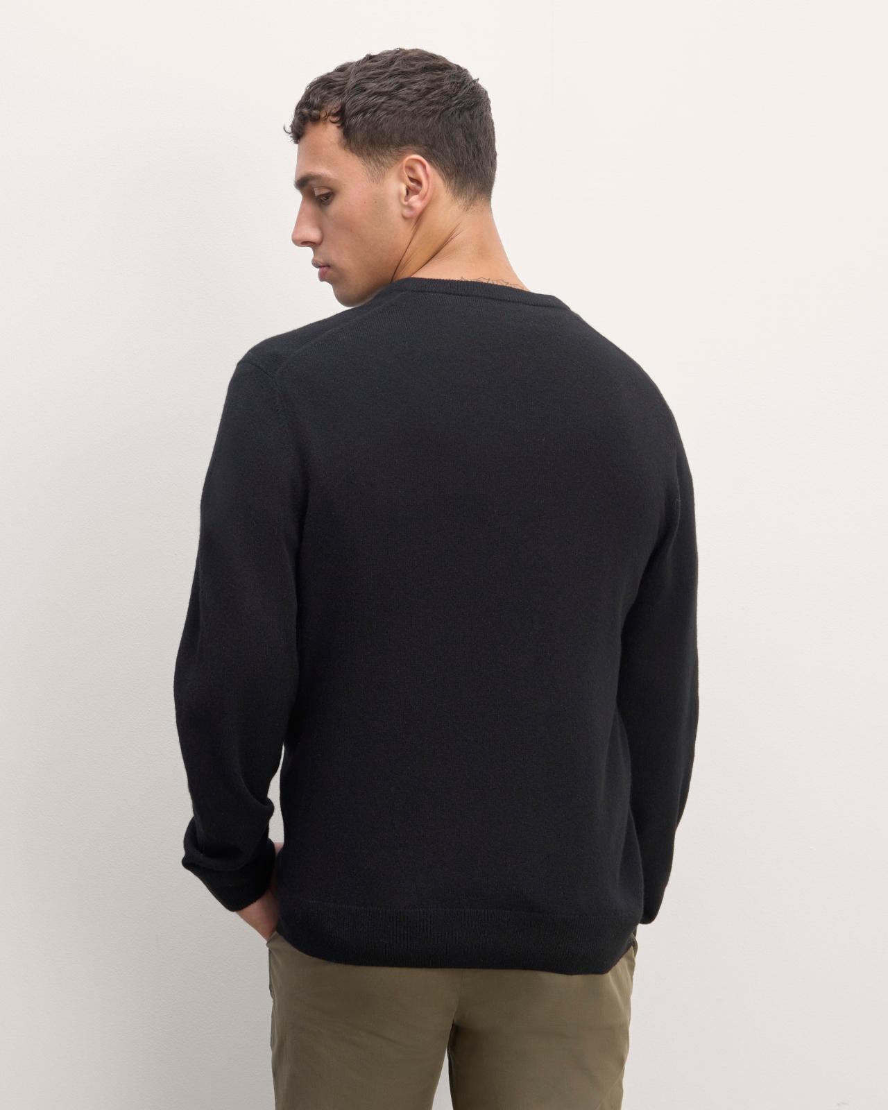 Mens Cashmere V-Neck Sweater by Everlane Product Image