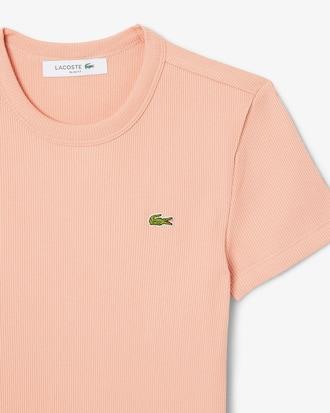 Slim Fit Ribbed Cotton T-shirt Product Image