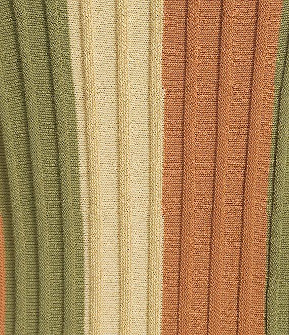 Current Air Coordinating Stripe Round Neck Dolman Sleeve Knit Top Product Image