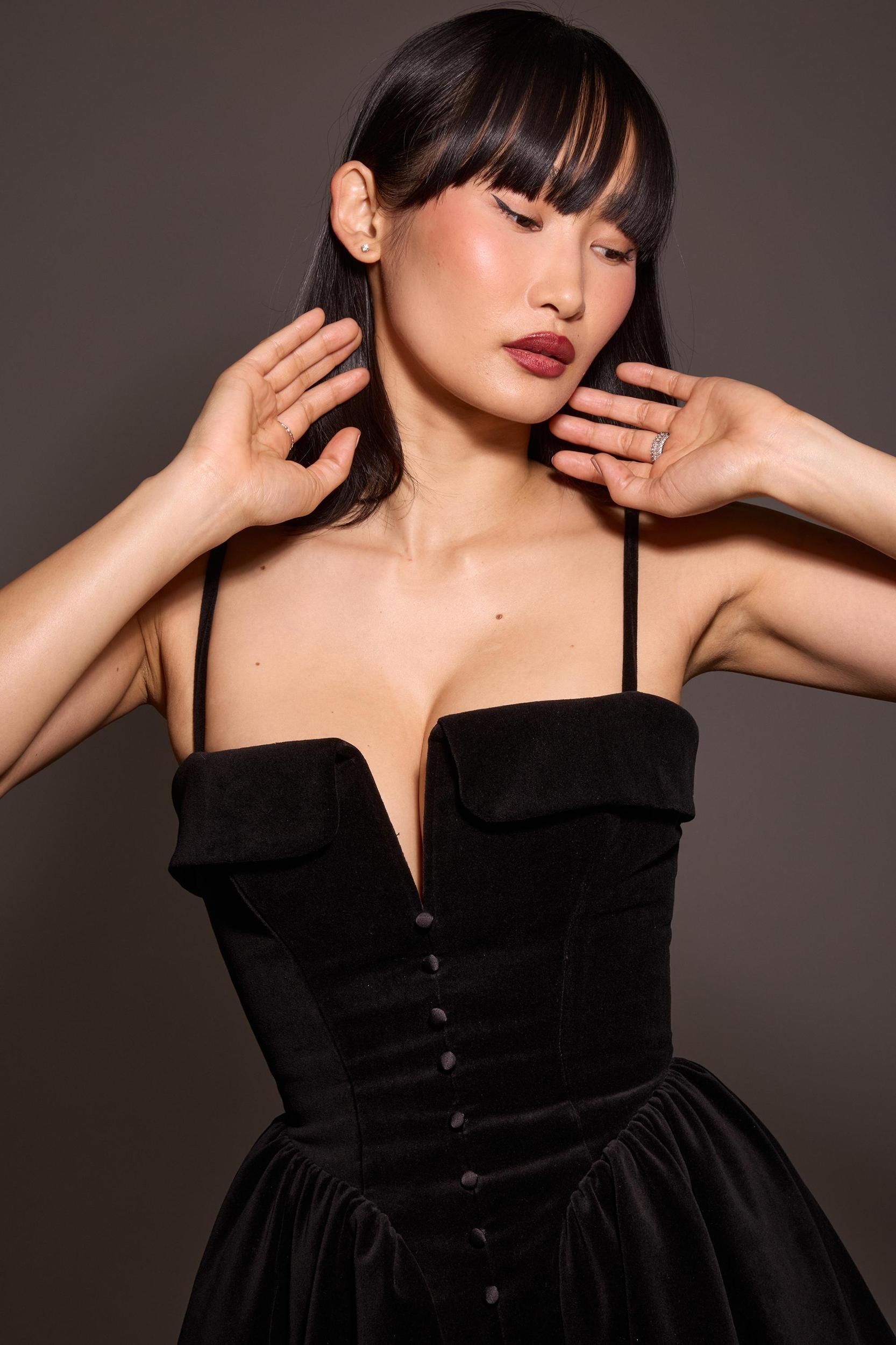 Selina  black velvet tulle mini dress Product Image