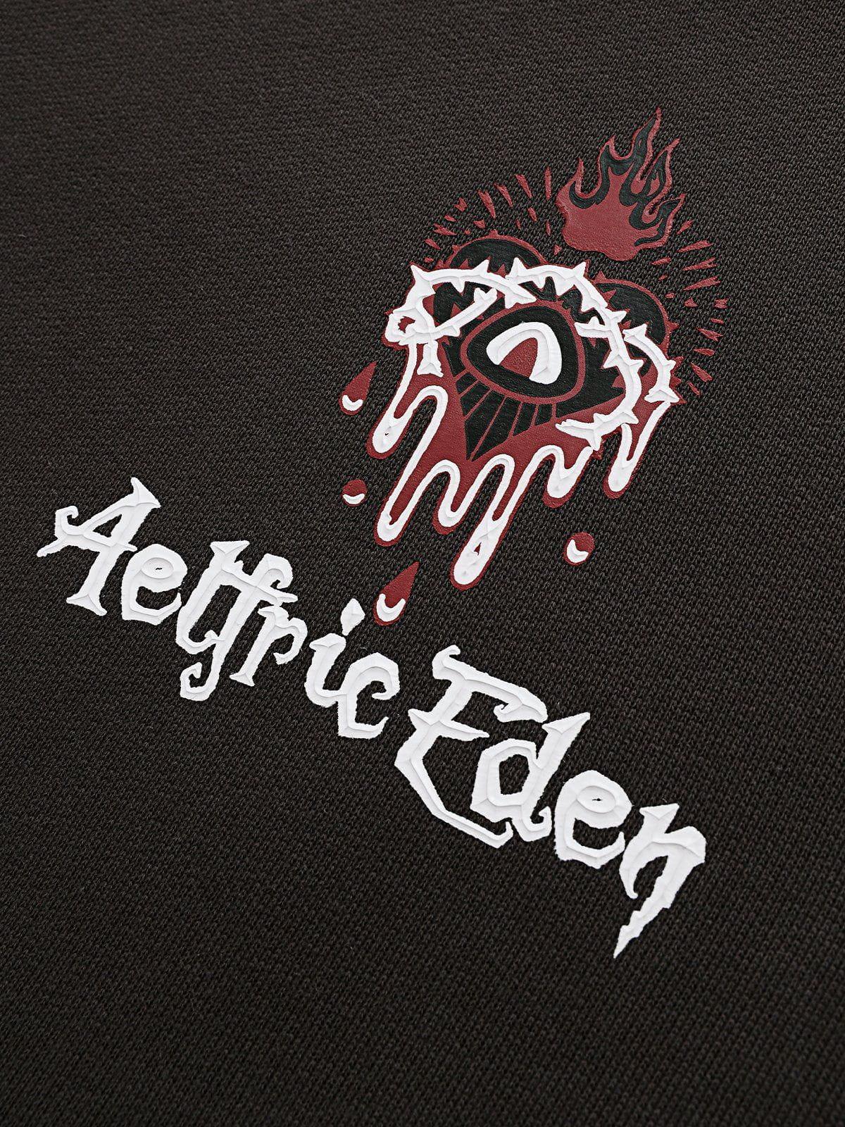 Aelfric Eden Color Blocking Hoodie Product Image