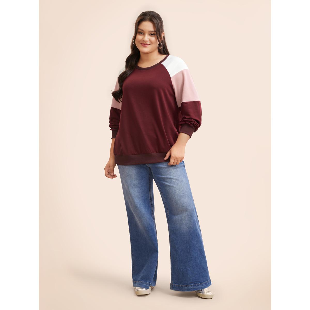 Plus Size Colorblock Contrast Raglan Sleeve Sweatshirt Women Multicolor Casual Contrast Round Neck Everyday Sweatshirts BloomChic 26/4X Product Image