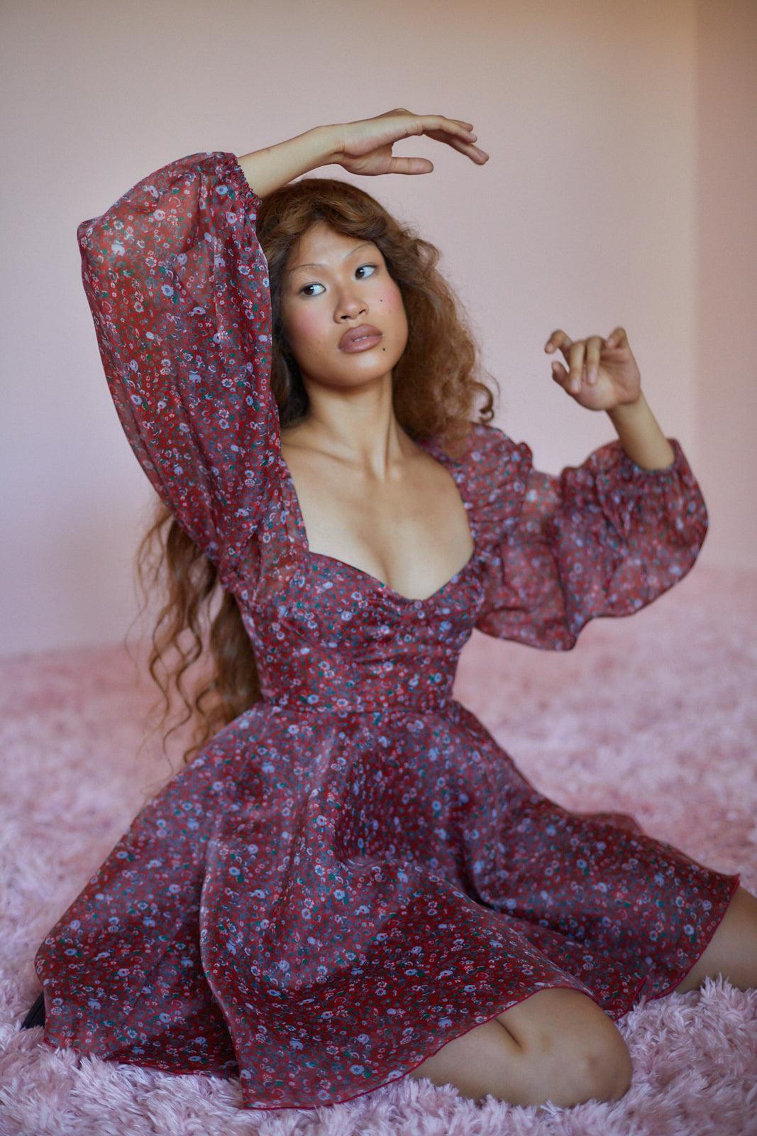 The Crimson Princess Dress Product Image