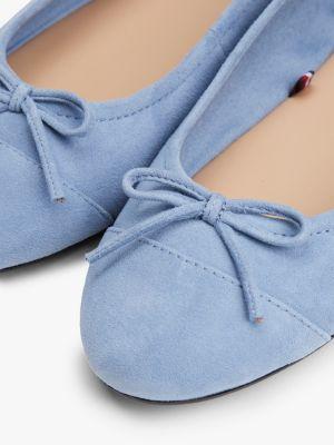 Suede Ballet Flat Product Image