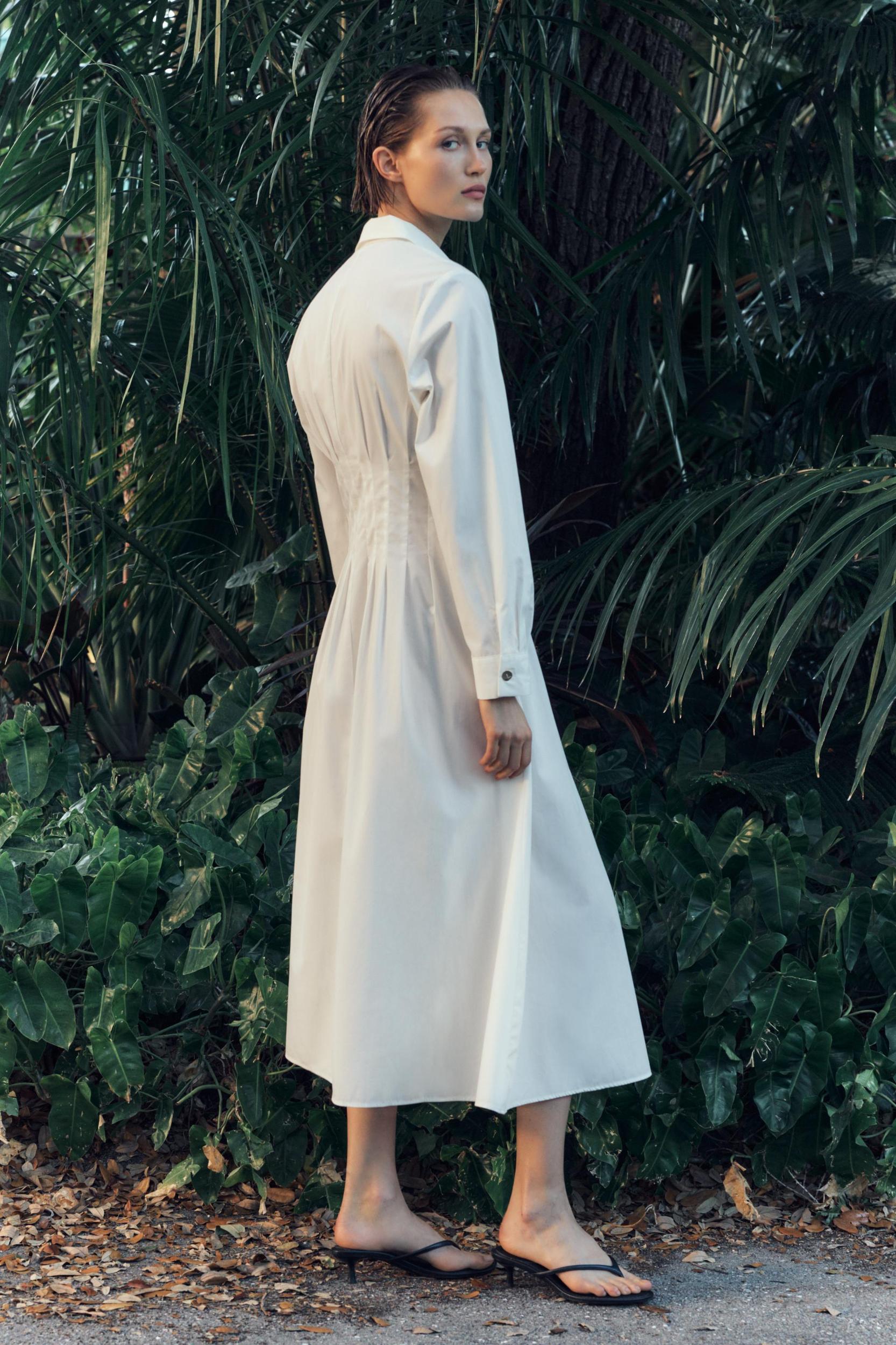 FITTED WAIST POPLIN DRESS Product Image