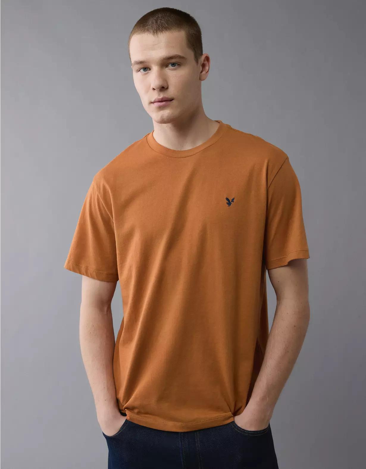 AE Icon T-Shirt Product Image