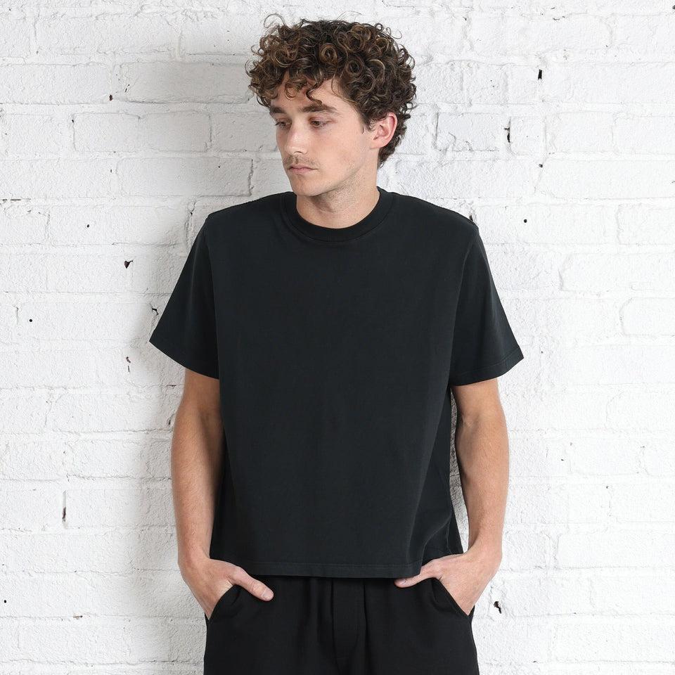 Silverlake Crop Tee II Product Image