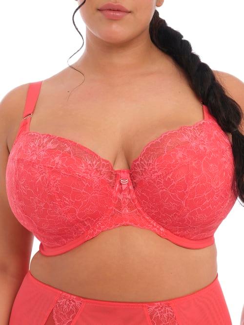 Brianna Padded Half-Cup Bra Product Image
