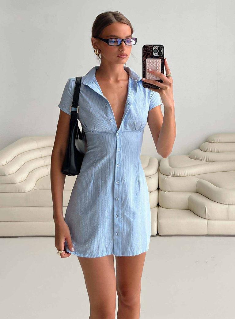 Motley Mini Dress Blue Stripe Product Image