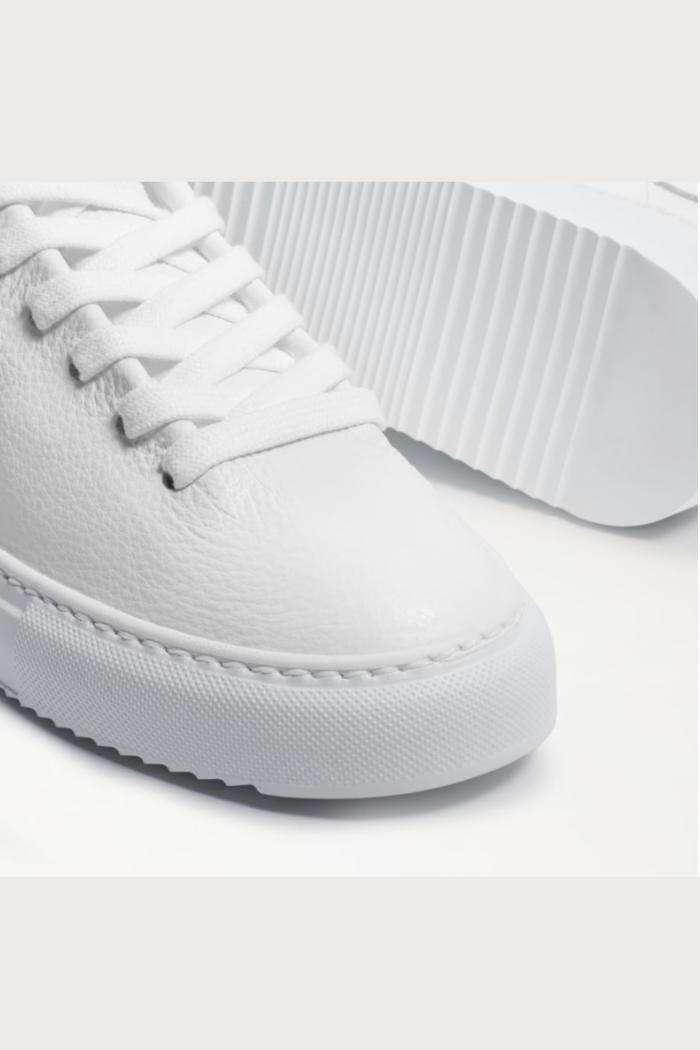Poppy Lace Up Sneaker- White Product Image