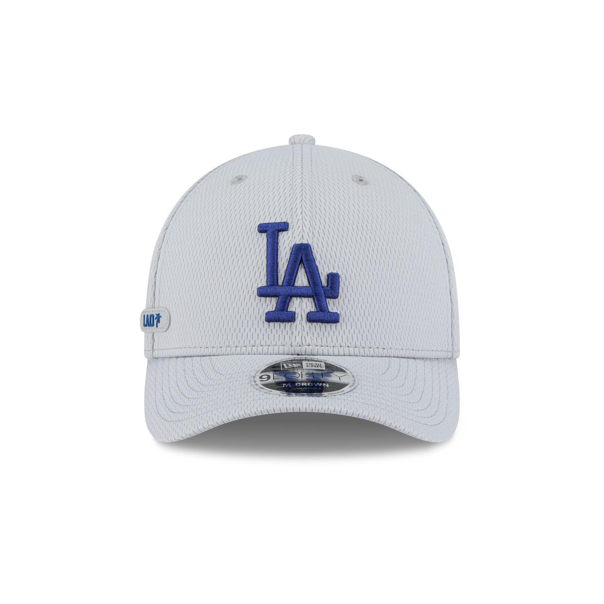 Los Angeles Dodgers 2025 Clubhouse Gray 9FORTY M-Crown Snapback Hat Male Product Image