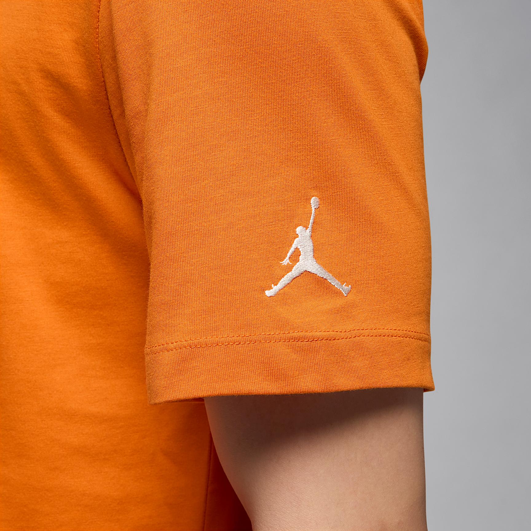 Mens Jordan Air T-Shirt | DM3182-805 Product Image