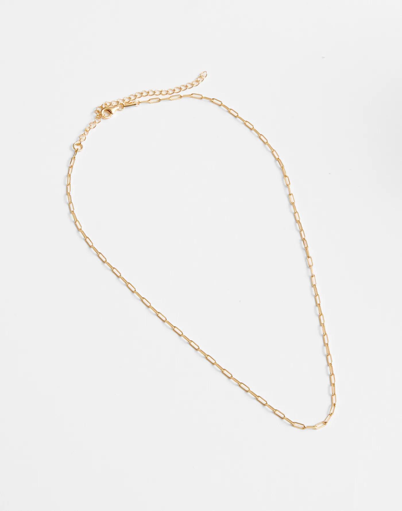 Demi-Fine Paperclip Chain Necklace Product Image