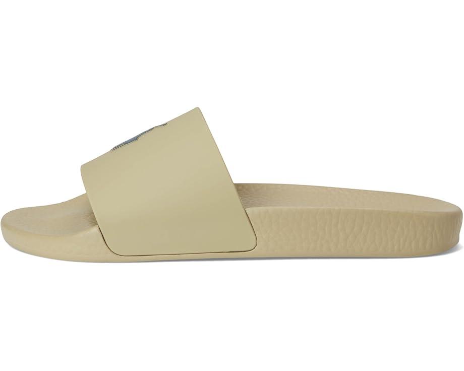 Polo Bear Slide Product Image