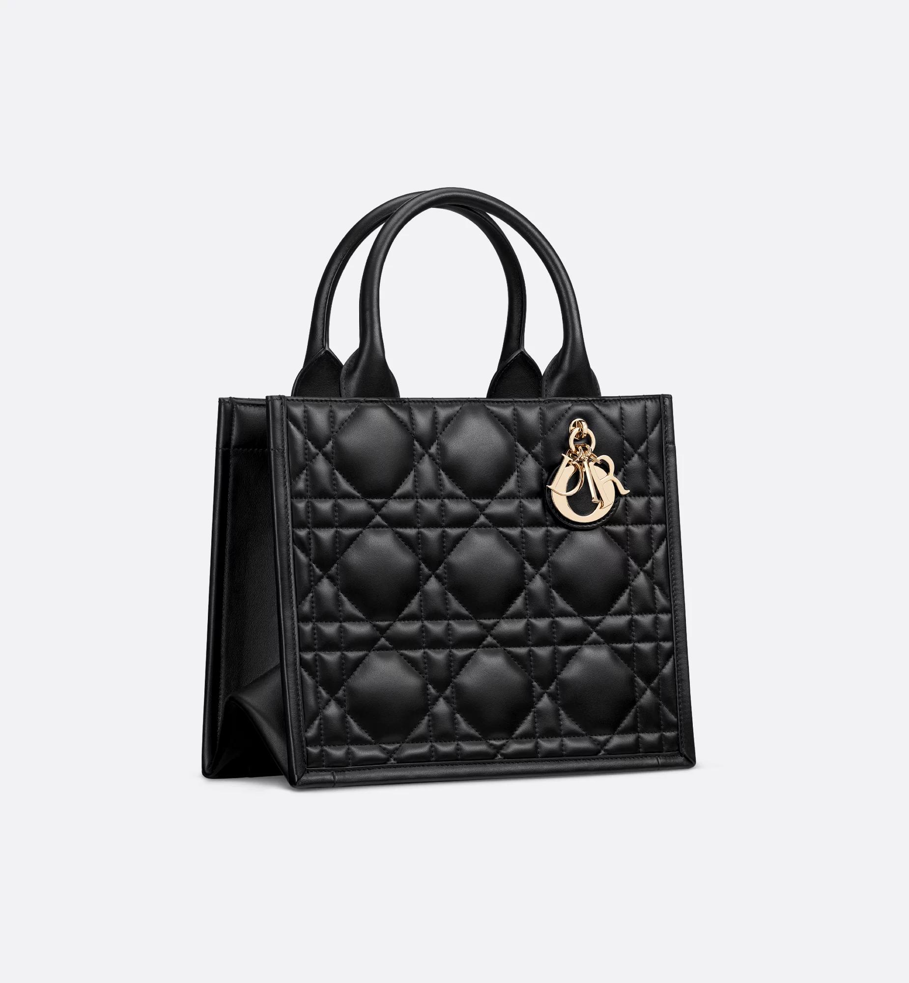 Small Dior Book Tote Product Image