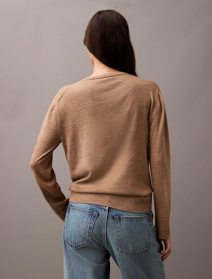 Extra Fine Merino Blend V-Neck Sweater Product Image