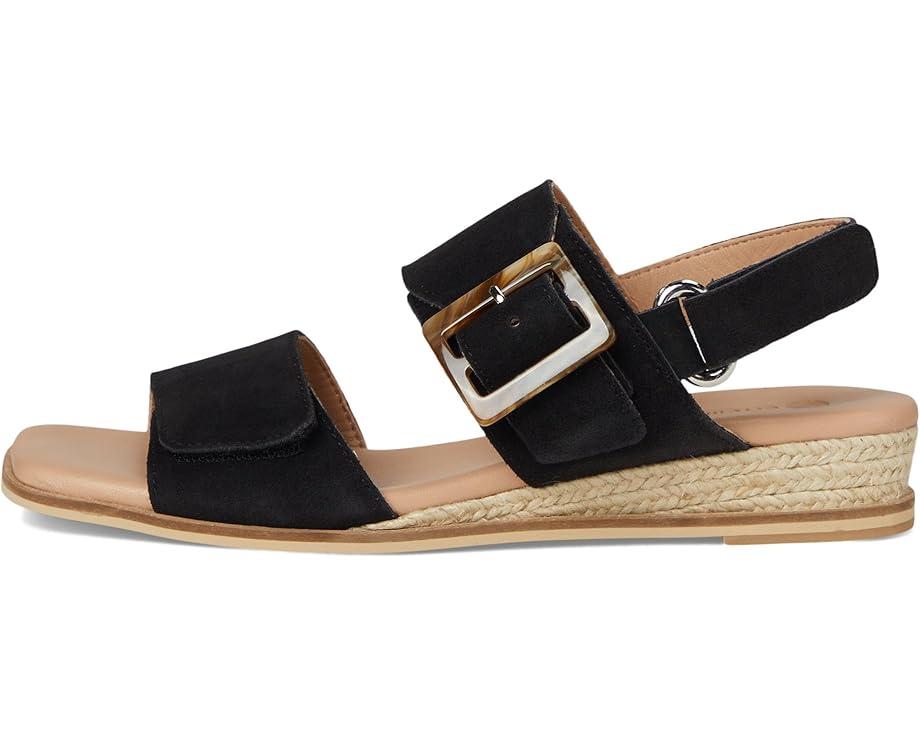 Timeless Life Product Image