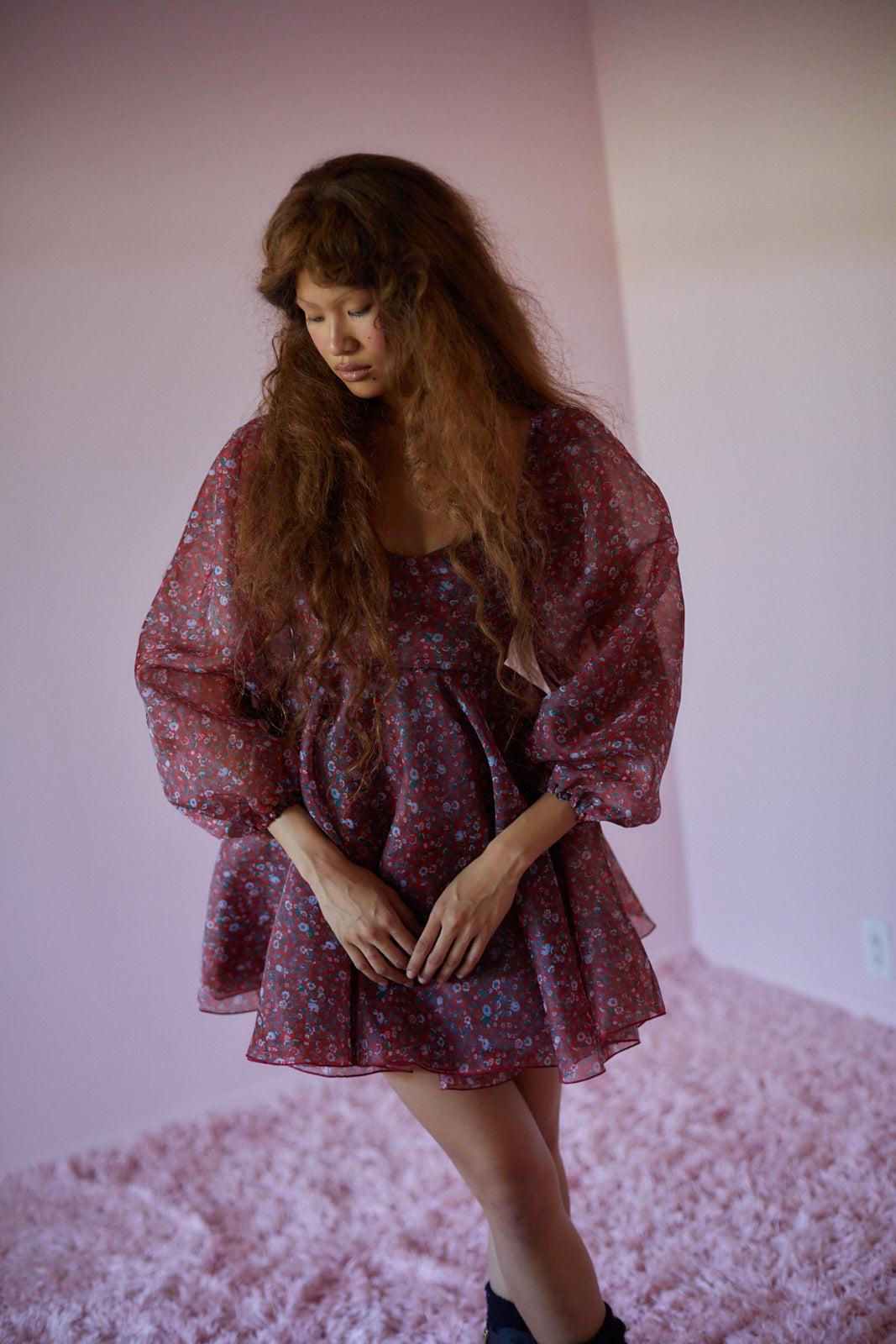 The Crimson Princess Dress Product Image