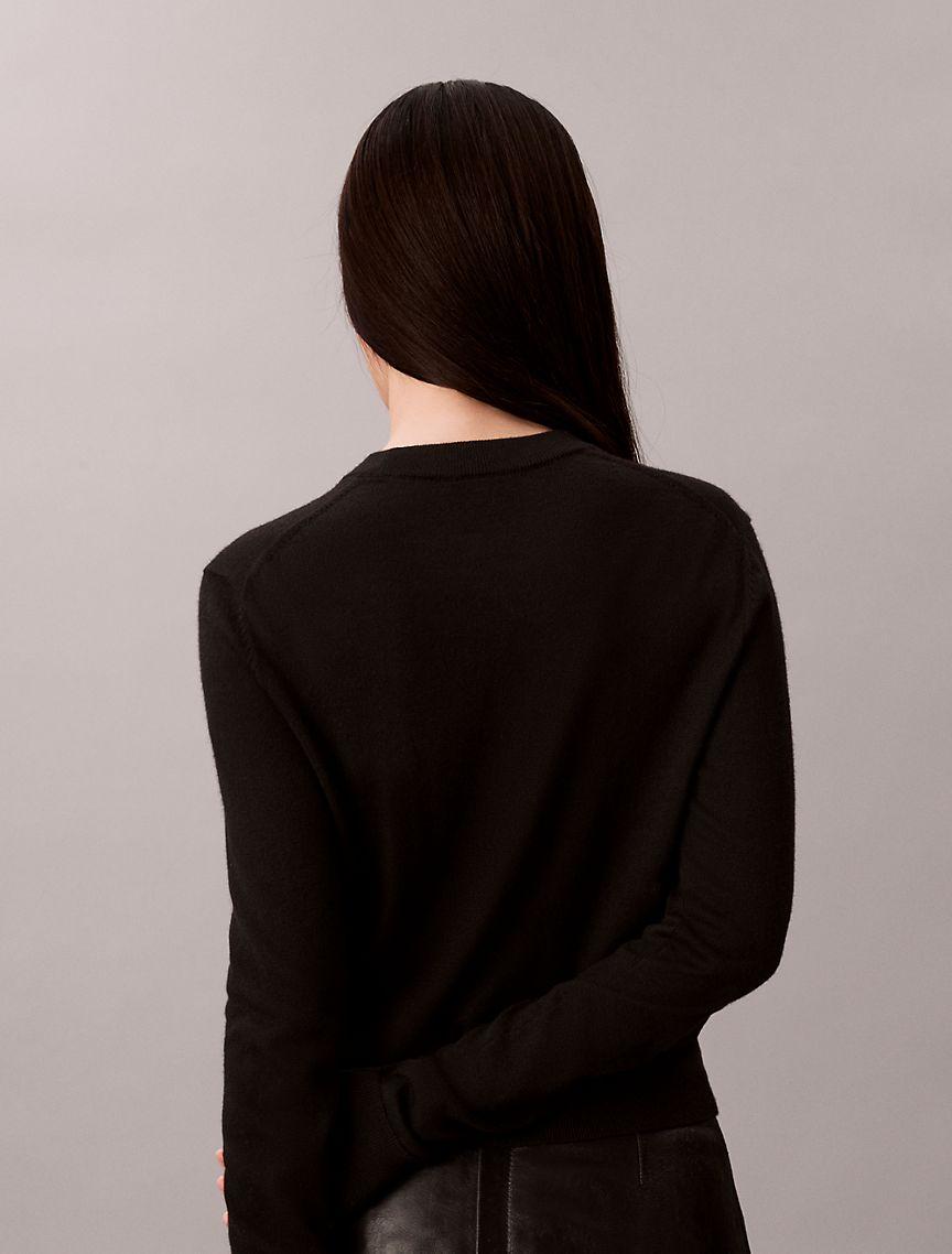 Extra Fine Merino Blend Crewneck Sweater Product Image