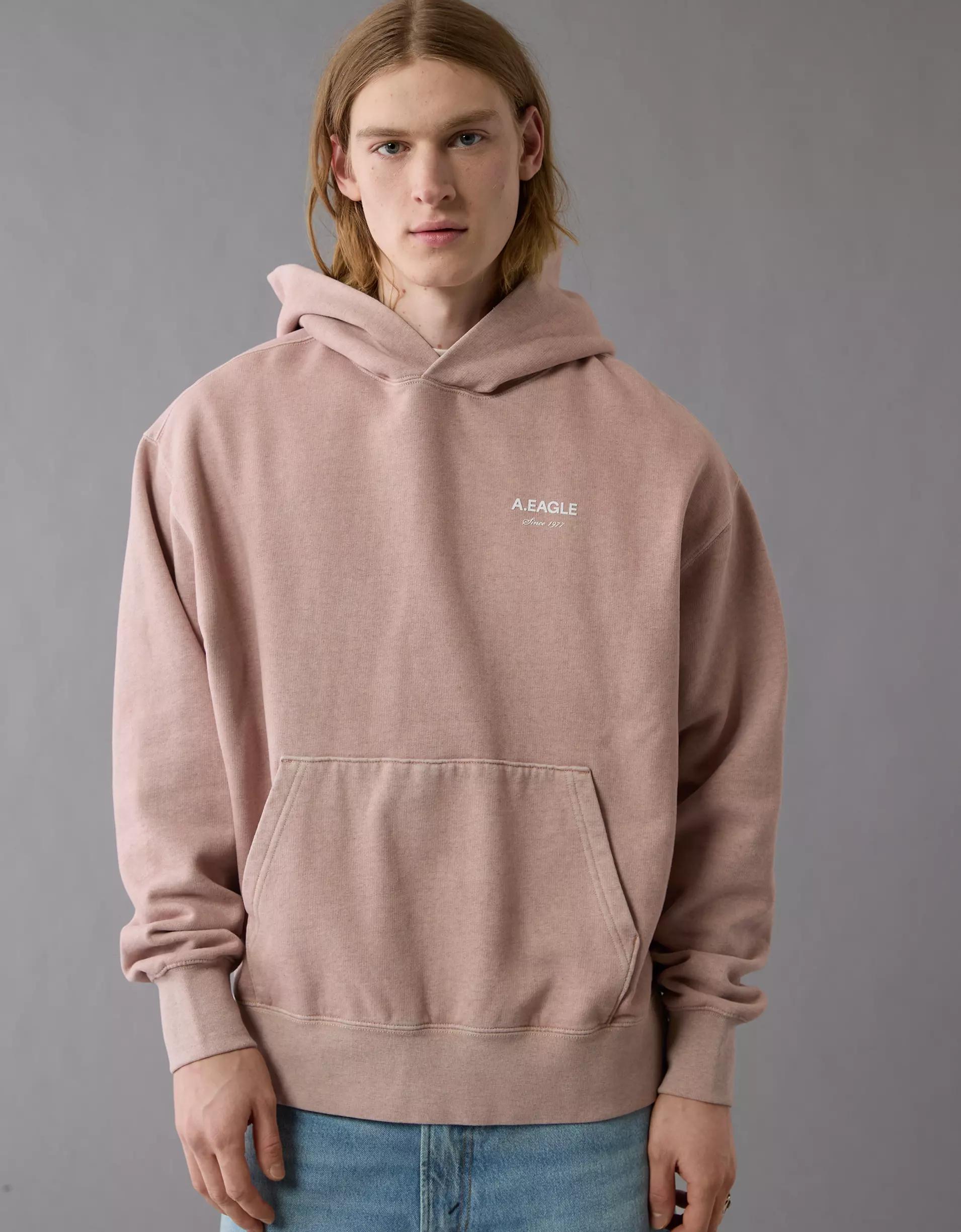 AE Laidback Luxe Heavyweight Logo Hoodie Product Image