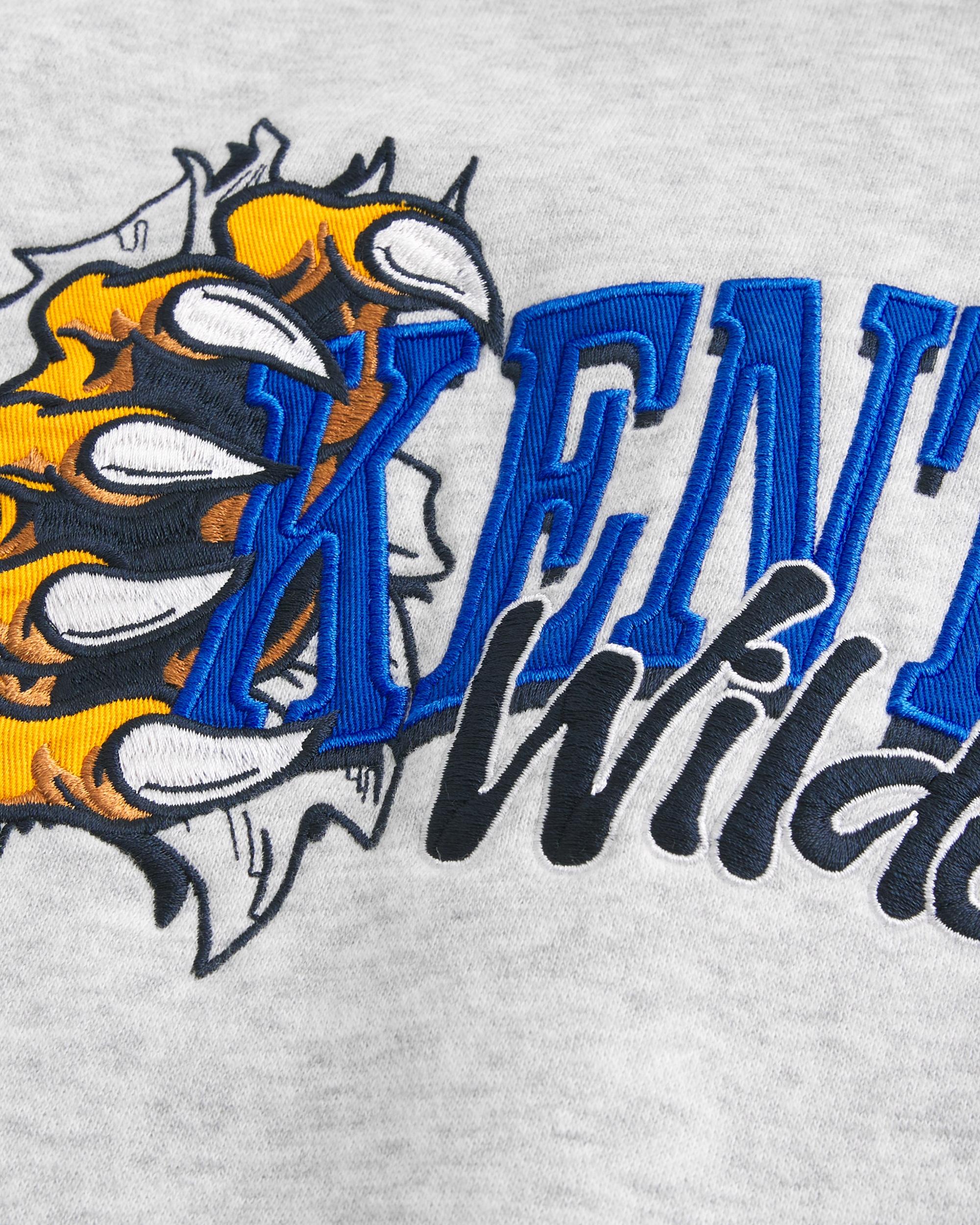 Boxy UConn Graphic Hoodie Product Image