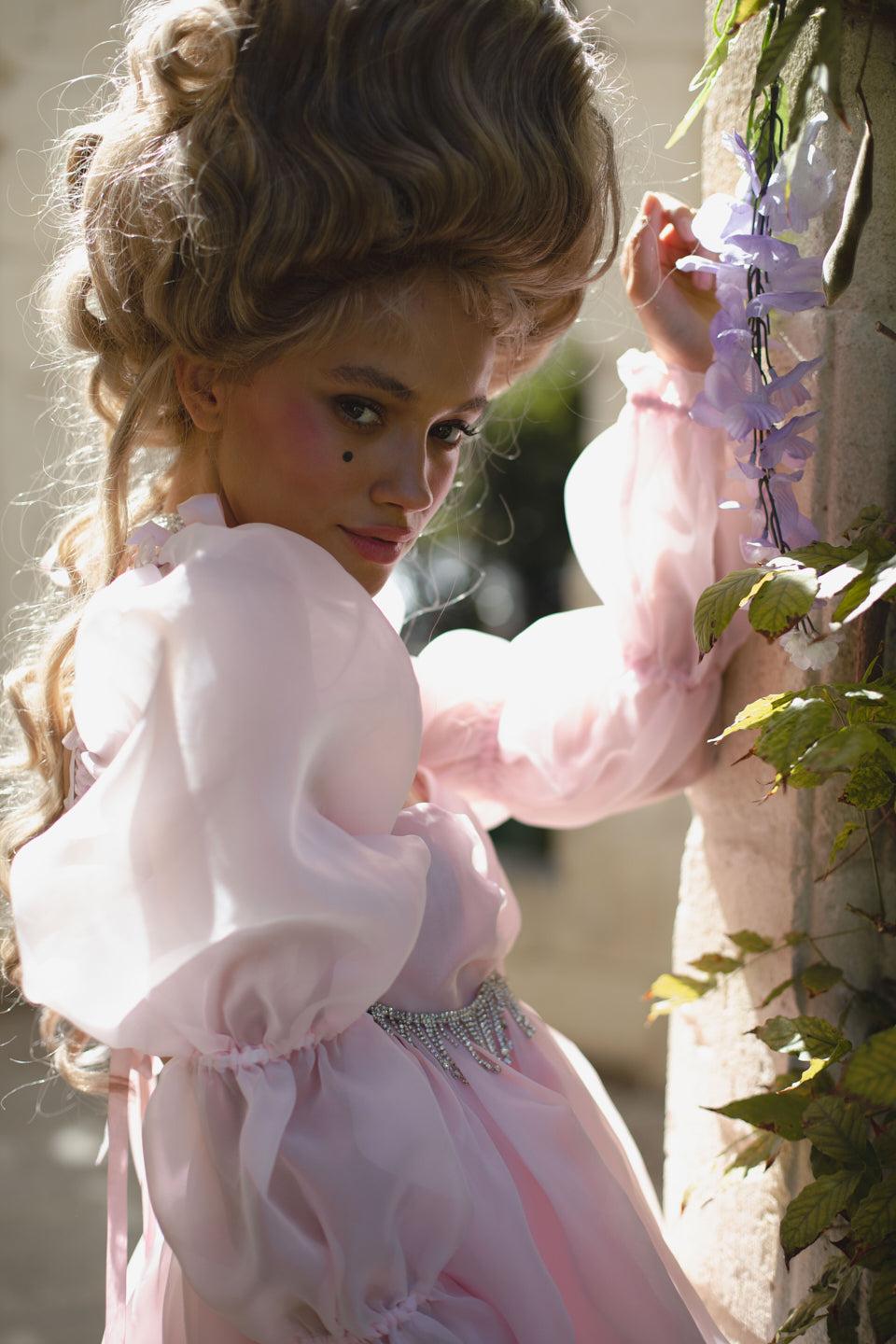 The Ballerina Moonlight Dress Product Image