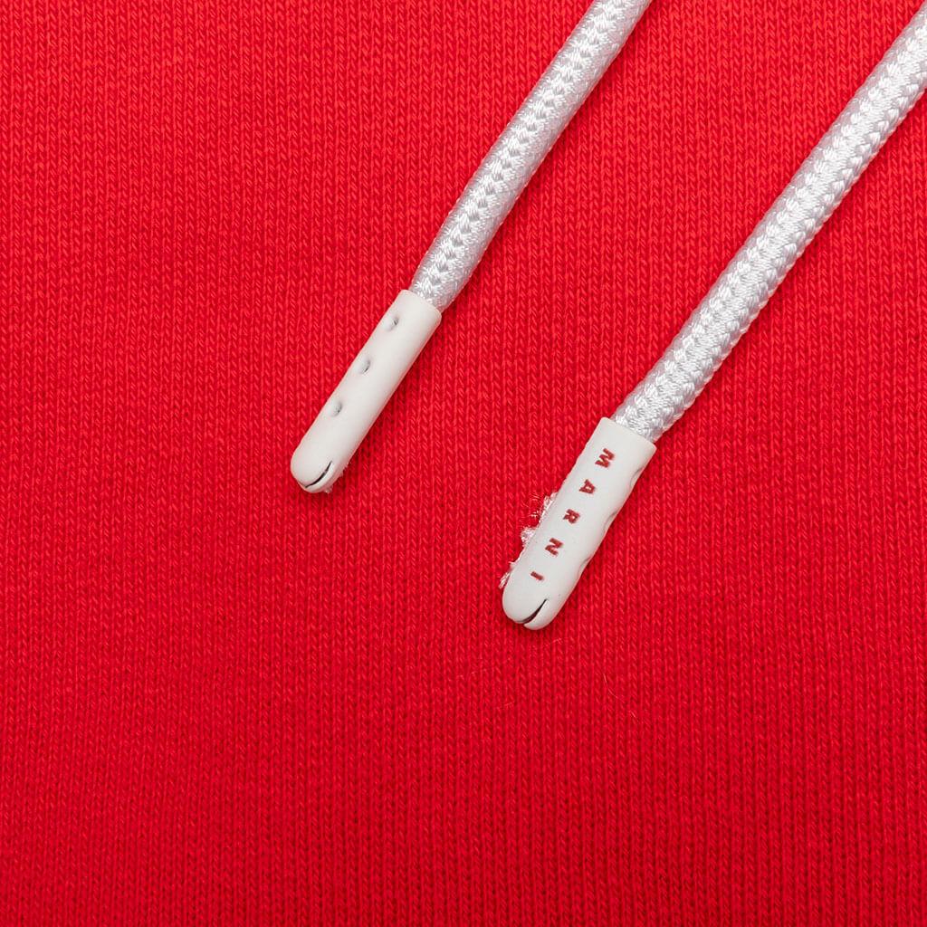 Sweatshirt - Lacquer Male Product Image