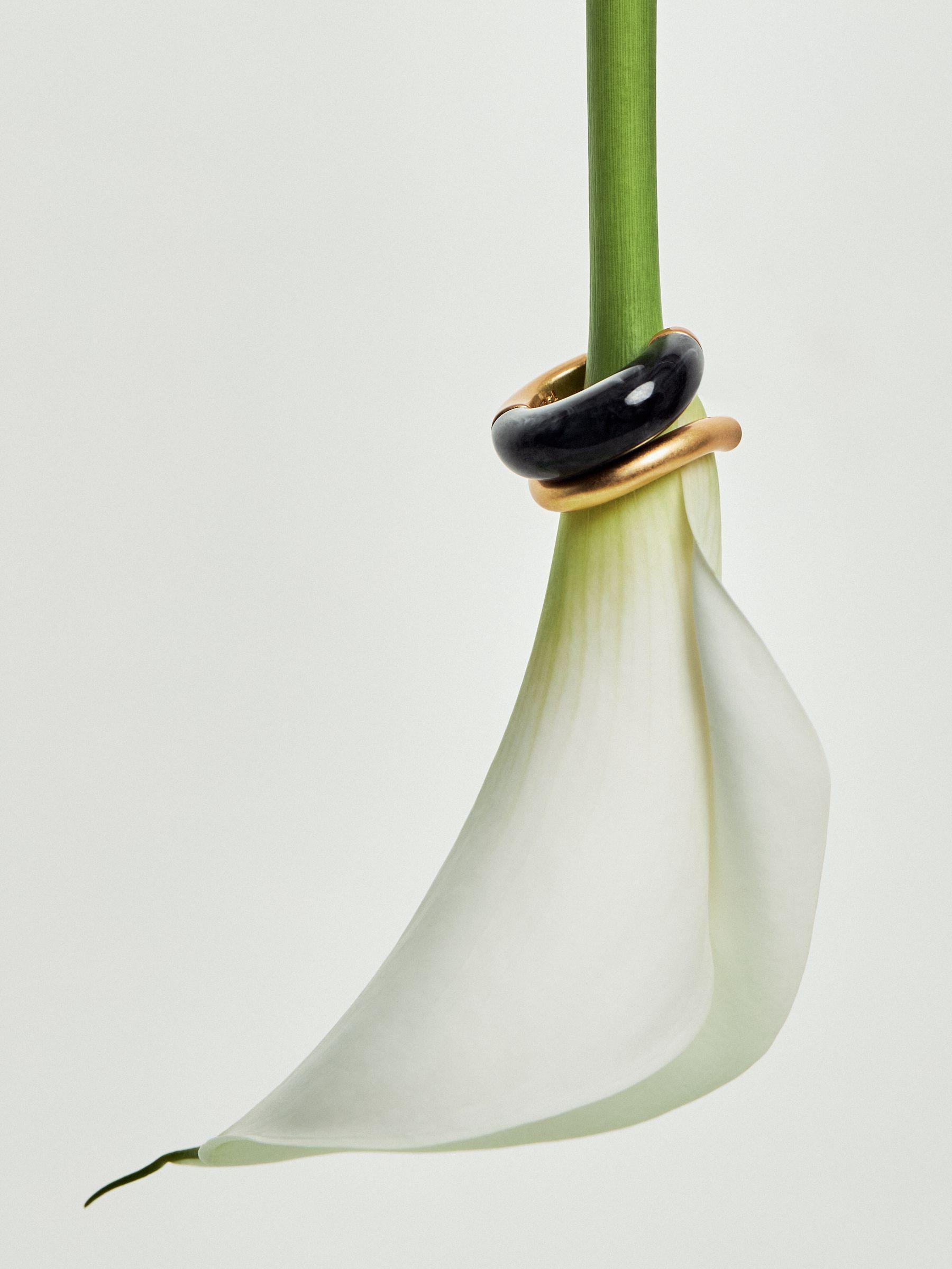 Tone Scoop Enamel Hoop Earrings in Gold Product Image