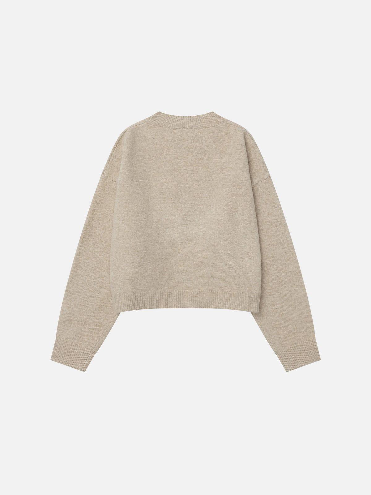 Aelfric Eden Plush Dog Graphic Sweater Female Product Image