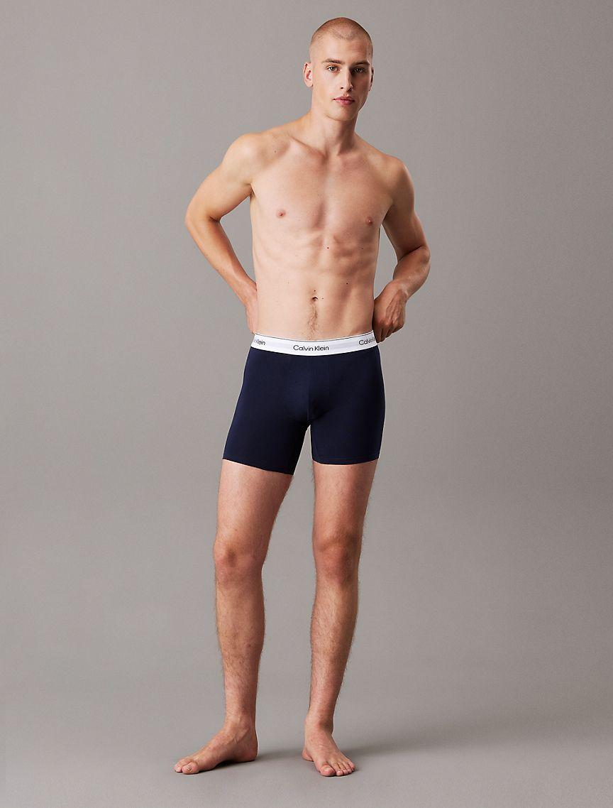 Icon Cotton Stretch 3-Pack Boxer Brief Product Image