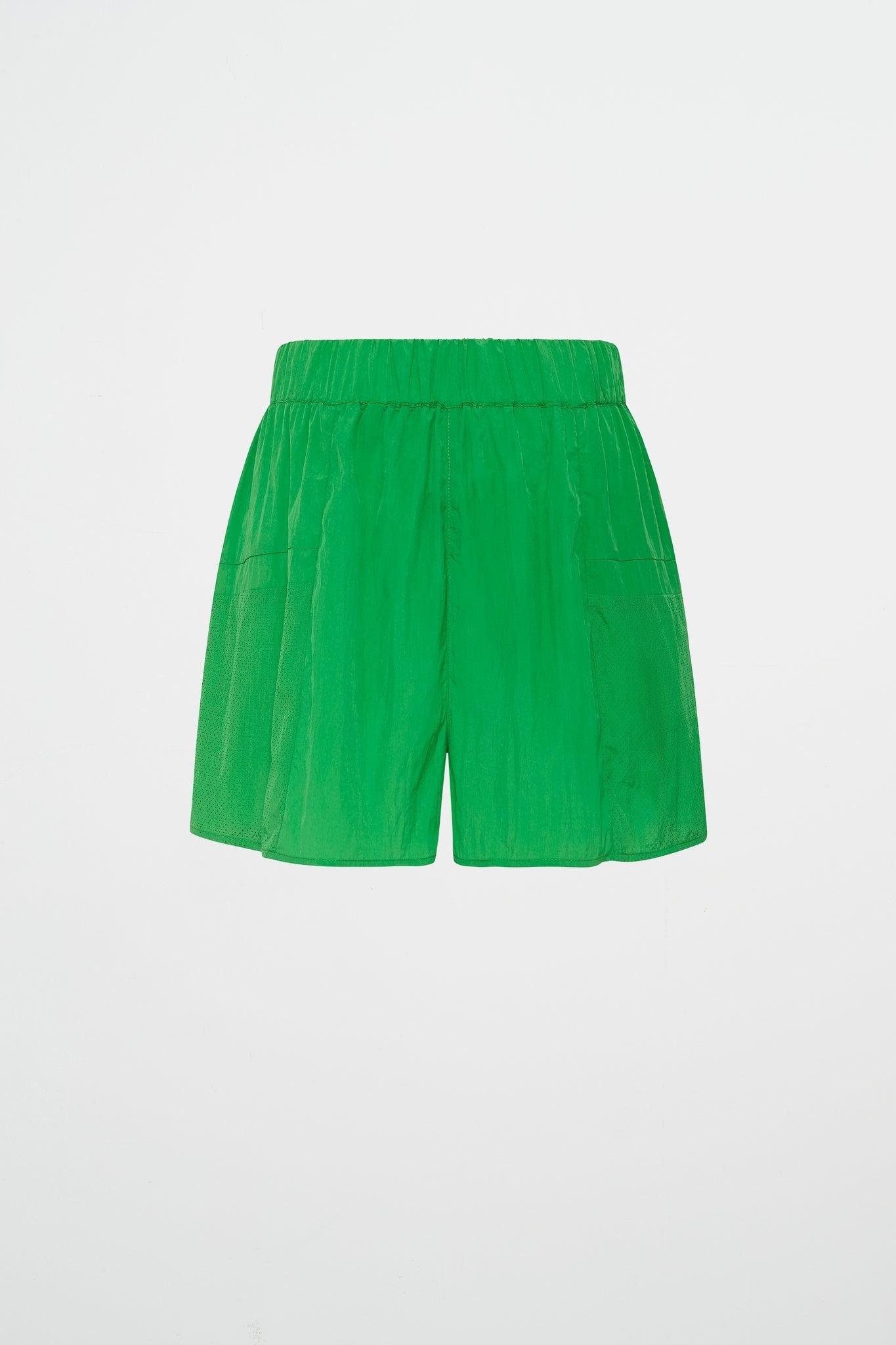 High Waisted Belted Shorts 608 Product Image