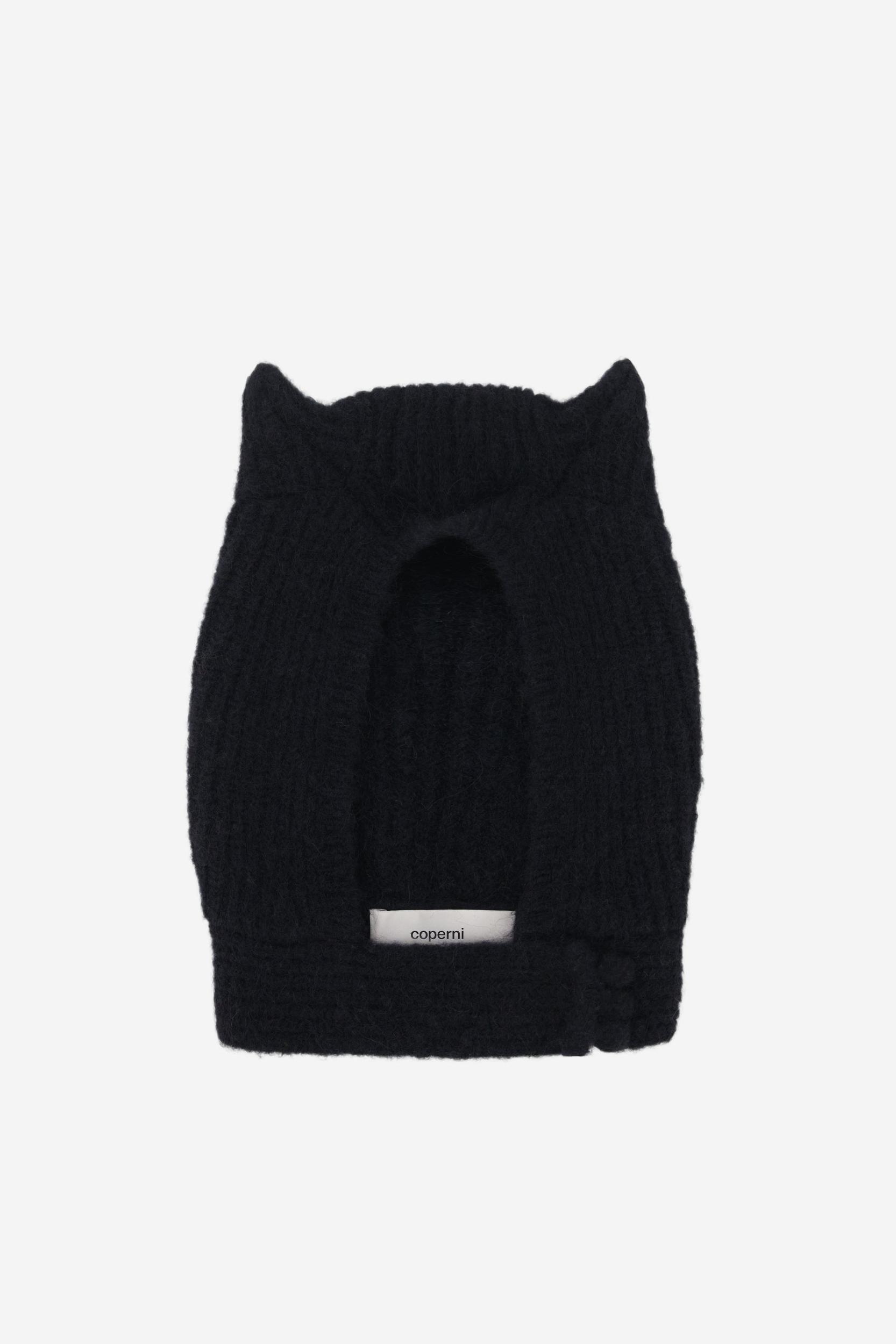 Knitted Horn Beanie Product Image